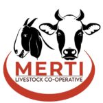 Merti Livestock Cooperative